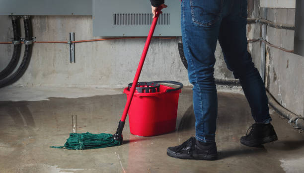 Best Water damage cleanup near me  in Port St Joe, FL
