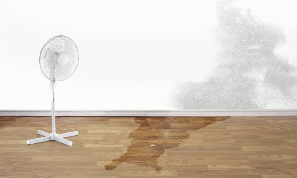 Best Flooded house restoration  in Port St Joe, FL