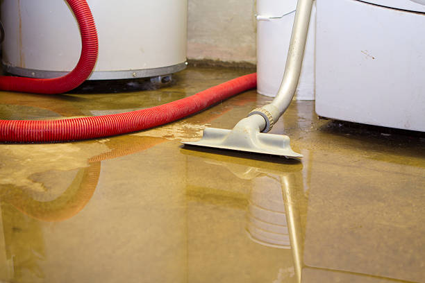 Best Water damage restoration near me  in Port St Joe, FL