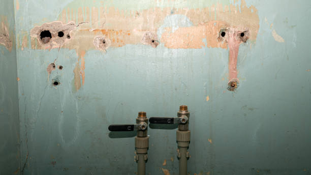 Best Basement water damage restoration  in Port St Joe, FL