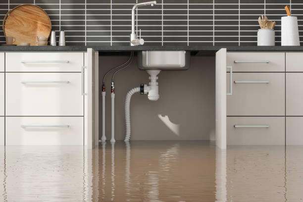 Best Water damage cleanup near me  in Port St Joe, FL